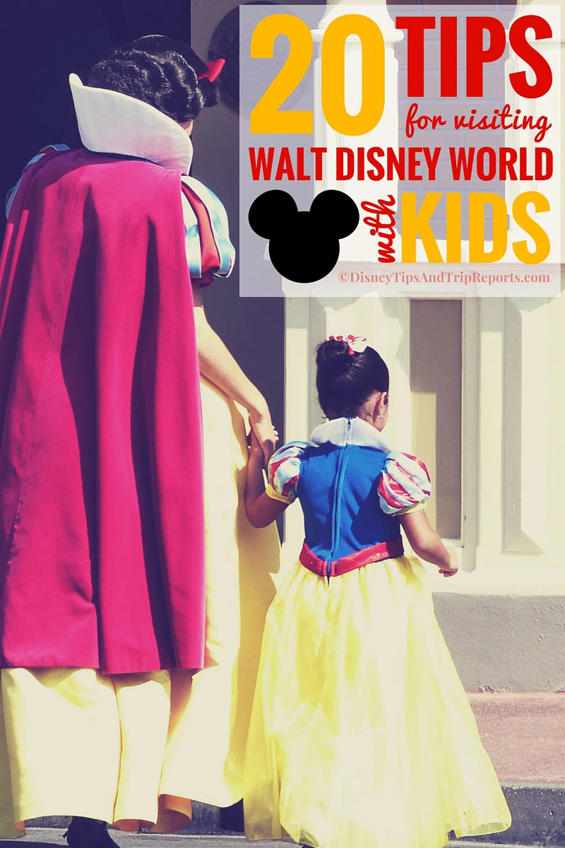 Tips For Visiting Walt Disney World With Kids