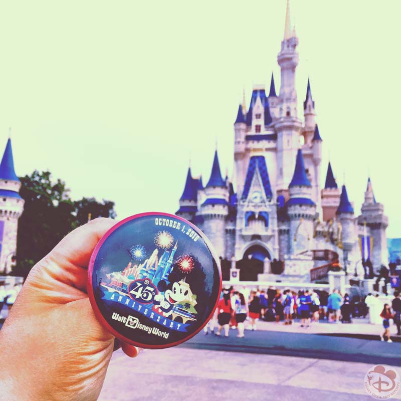45th Anniversary Walt Disney World