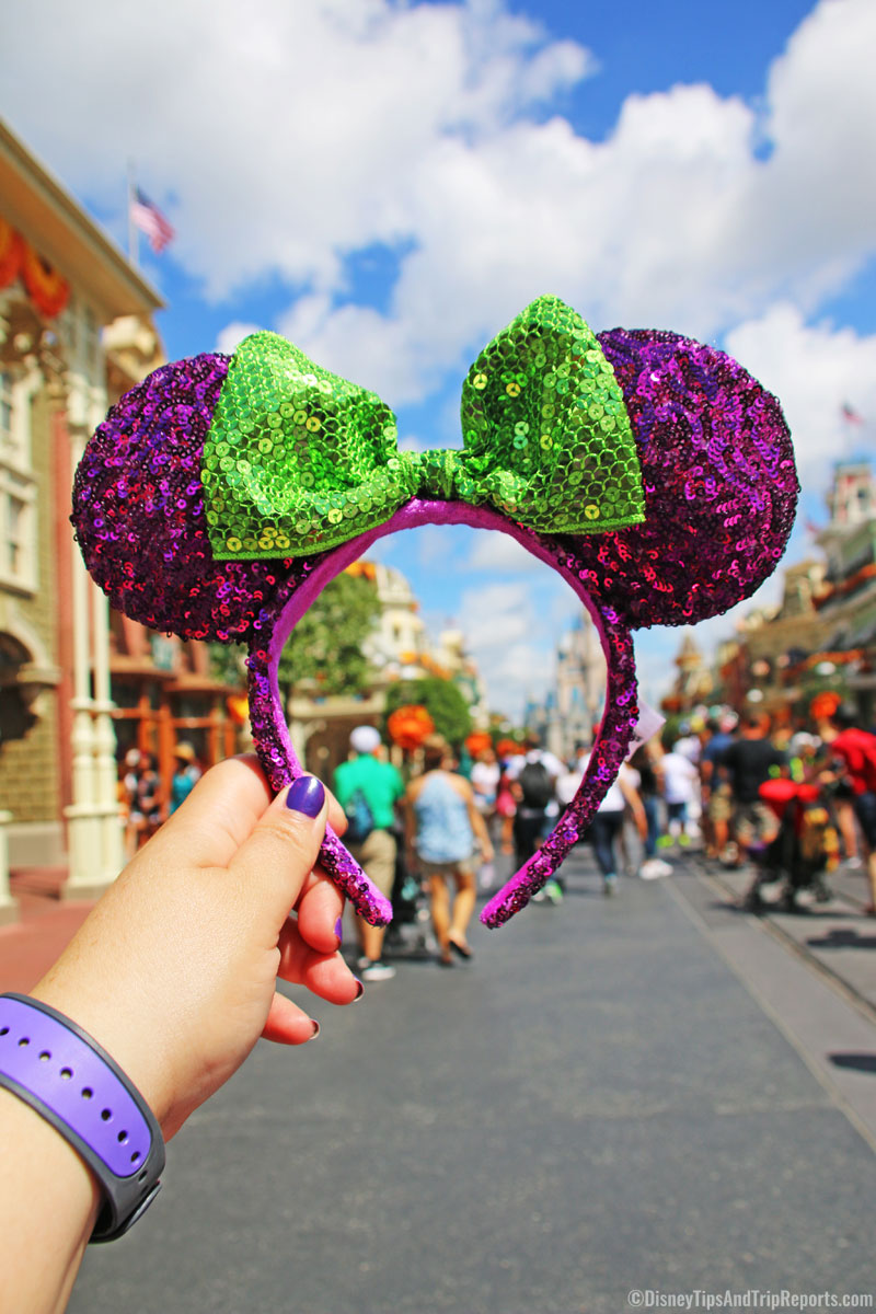 Magic Kingdom - Minnie Ears