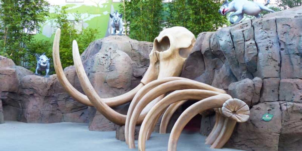 Disney's Art of Animation Resort - The Lion King Courtyard - Elephant Graveyard