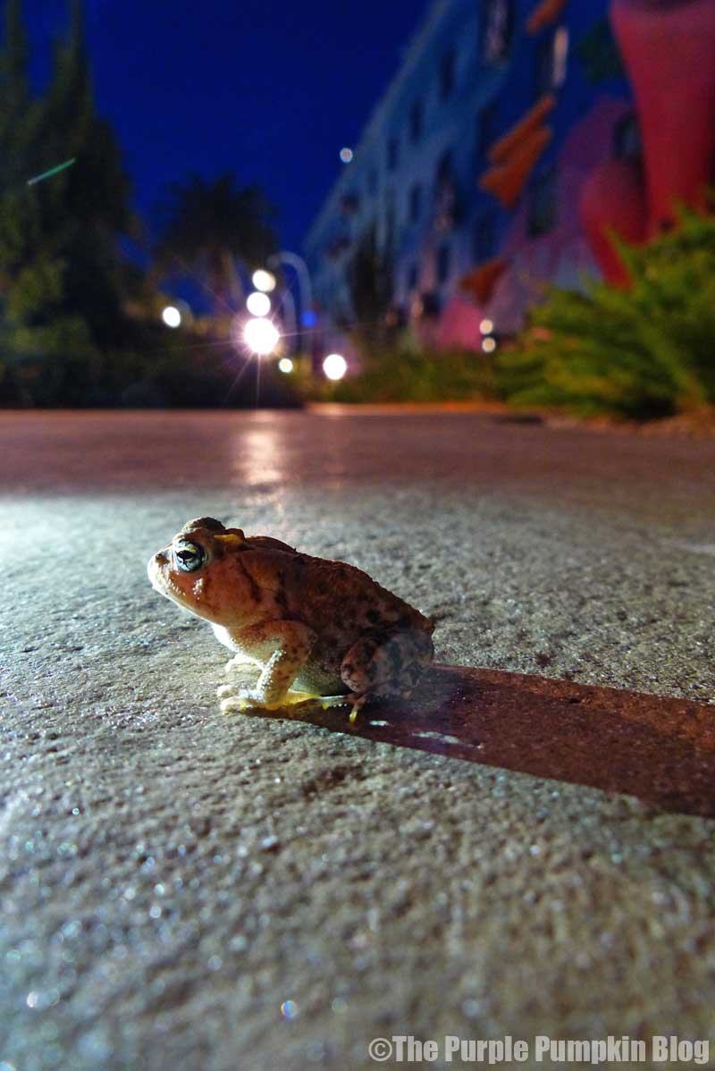 Frog at Art of Animation