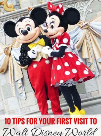 10 Tips For Your First Visit To Walt Disney World - a must pin if you're planning your first ever vacation to Orlando and Walt Disney World! Plus there are lots of trip reports covering all the theme parks!
