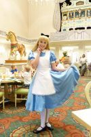 Meeting Alice at 1900s Park Fare at Grand Floridian (15)