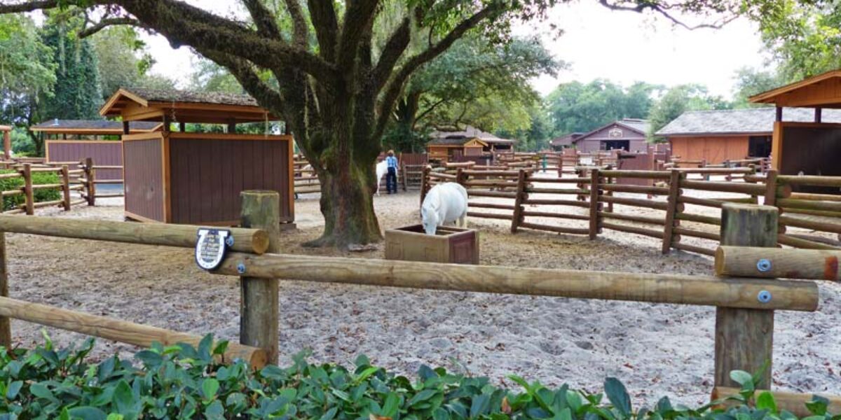Tri-Circle-D Ranch - Disney's Fort Wilderness Resort & Campgrounds