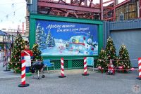 The Osborne Family Spectacle of Dancing Lights 2015