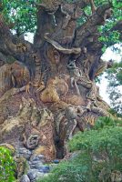 Tree of Life - Disney's Animal Kingdom
