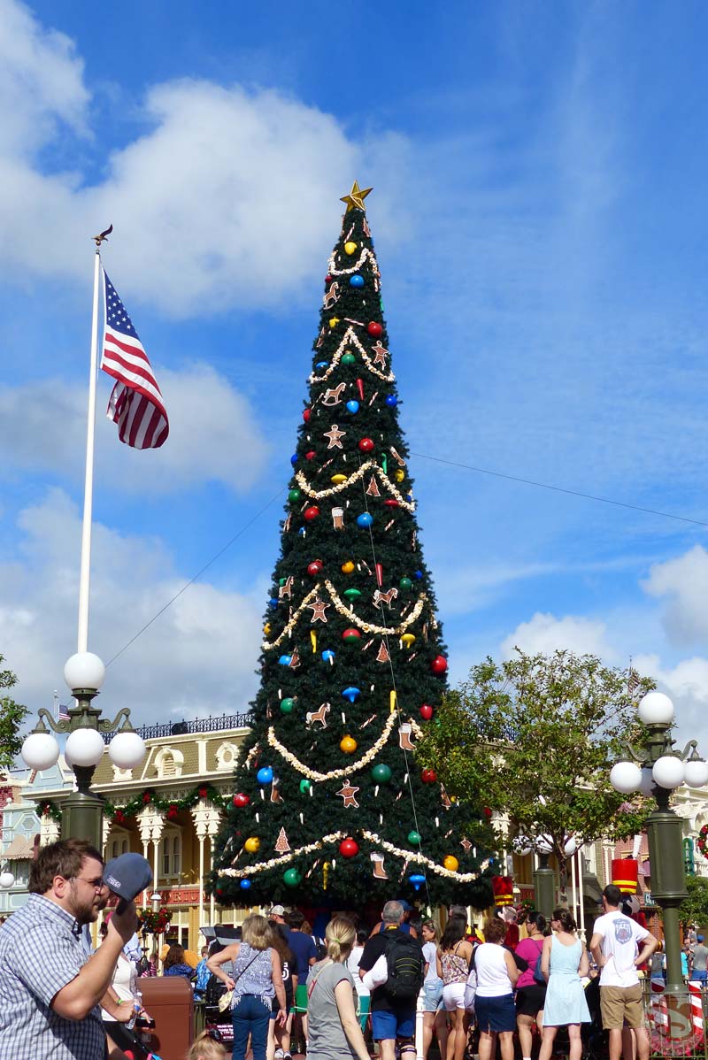 Christmas Tree - Magic Kingdom