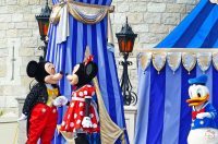 Dream Along With Mickey - Magic Kingdom