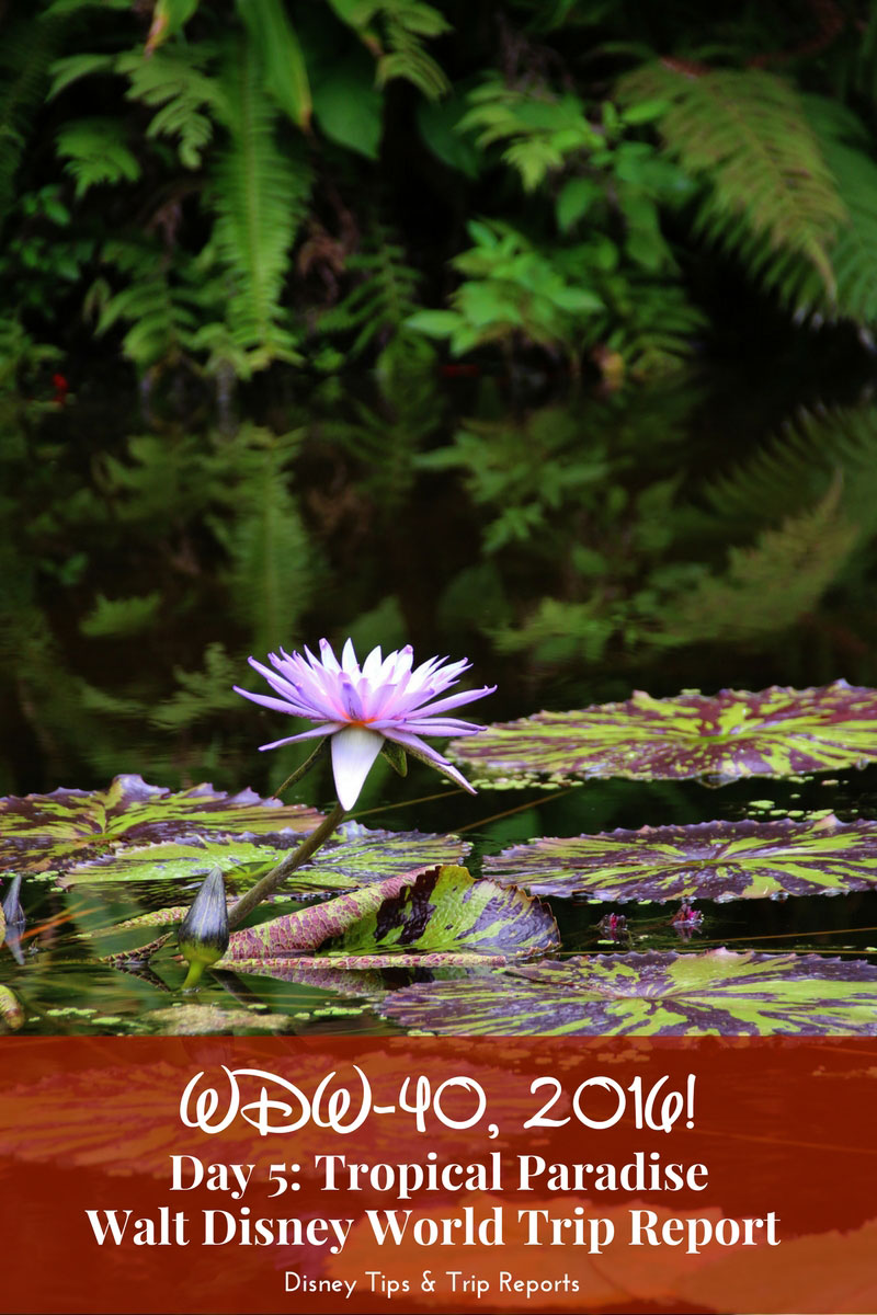 Day 5: Tropical Paradise / WDW-40, 2016. Spend time off resort explore local attractions. Visit McKee Botanical Garden - entrance just $10