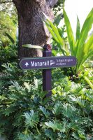 Tour around Disney's Polynesian Village Resort