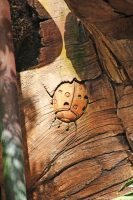 Tree of Life at Animal Kingdom - Ladybug Carving