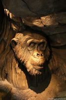 Tree of Life at Animal Kingdom - Chimp Carving
