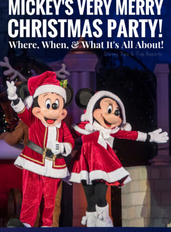 Mickey's Very Merry Christmas Party Info