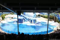 SeaWorld Orlando - Blue Horizons