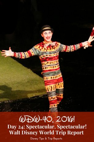 Day 25 - Spectacular, Spectacular! / WDW-40, 2016. A Trip Report about Cirque du Soleil, La Nouba, the now closed show at Disney Springs, Walt Disney World