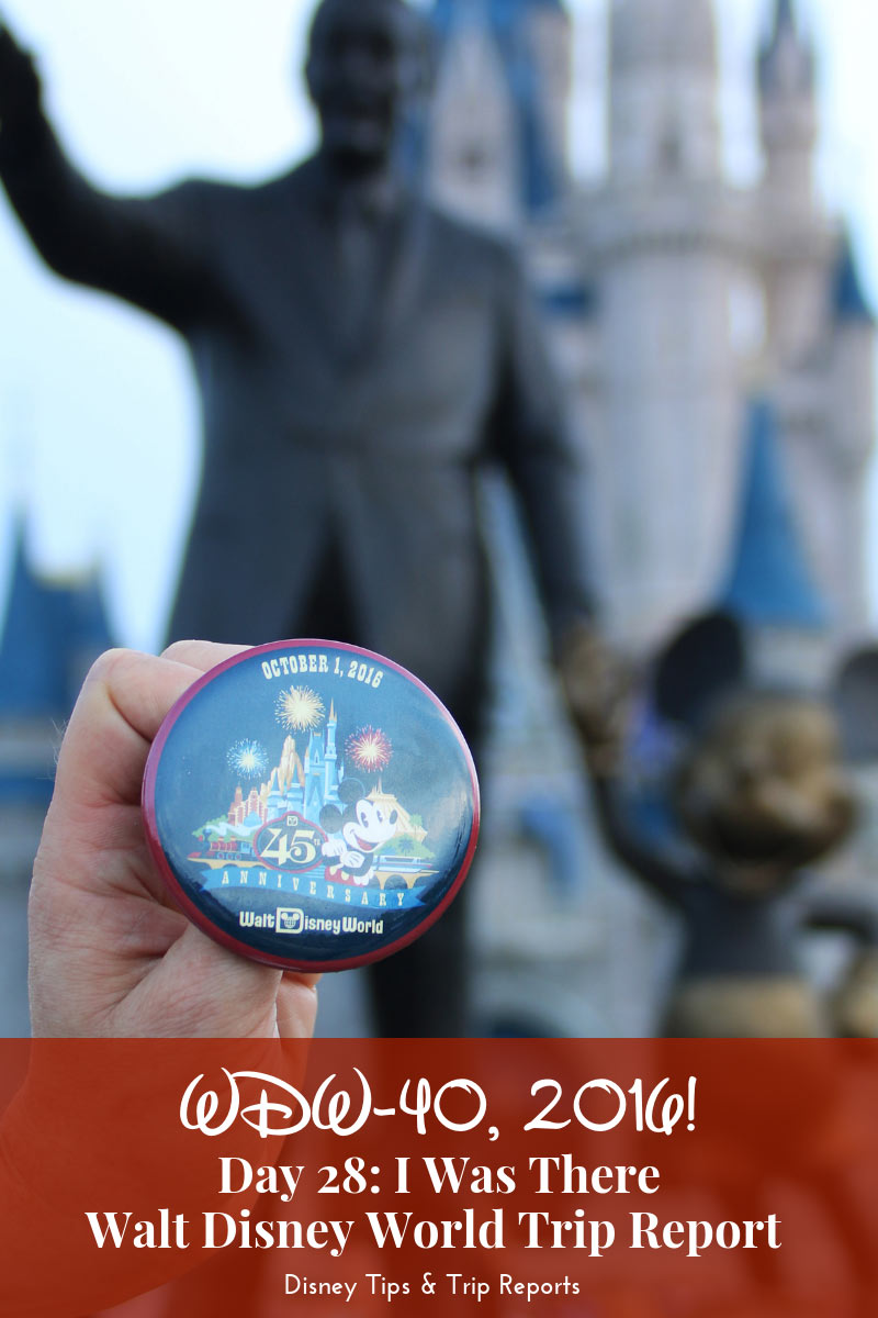 Day 28: I Was There / WDW-40, 2016 - Celebrating the 45th Anniversary of Walt Disney World!