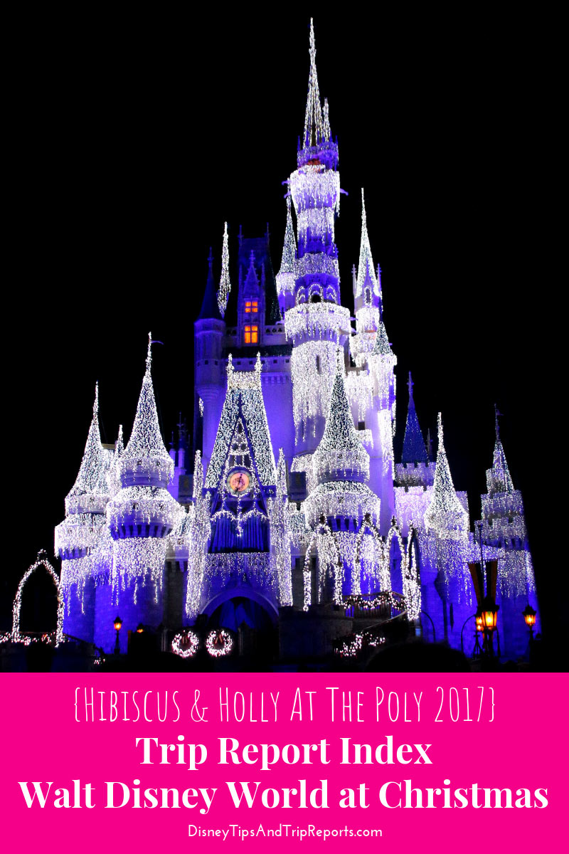 {Hibiscus & Holly At The Poly Disney Trip Report 2017} Disney Trip Report / Walt Disney World at Christmas